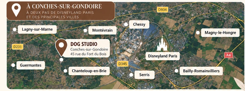 Carte de situation : Dog Studio, 45 rue du Fort du Bois à Conches-sur-Gondoire, à proximité de Disneyland Paris, Chessy, Serris, Magny-le-Hongre, Bailly-Romainvilliers, Montévrain, Lagny-sur-Marne, Guermantes et Chanteloup-en-Brie