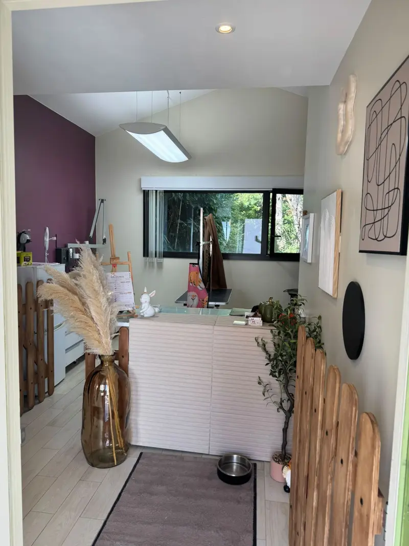 Entrée du salon avec comptoir et décoration