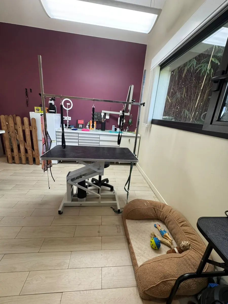 Intérieur du salon de toilettage Dog Studio