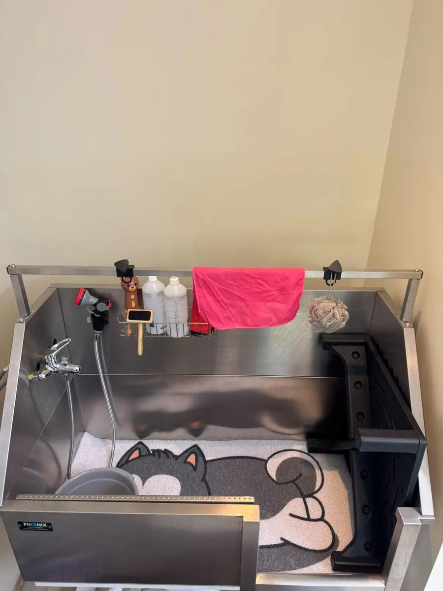 Baignoire professionnelle du salon pour le bain des chiens